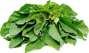 Fresh Soko Leaves (3 bunches)