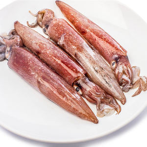 Squid Block Tube Whole 2kg