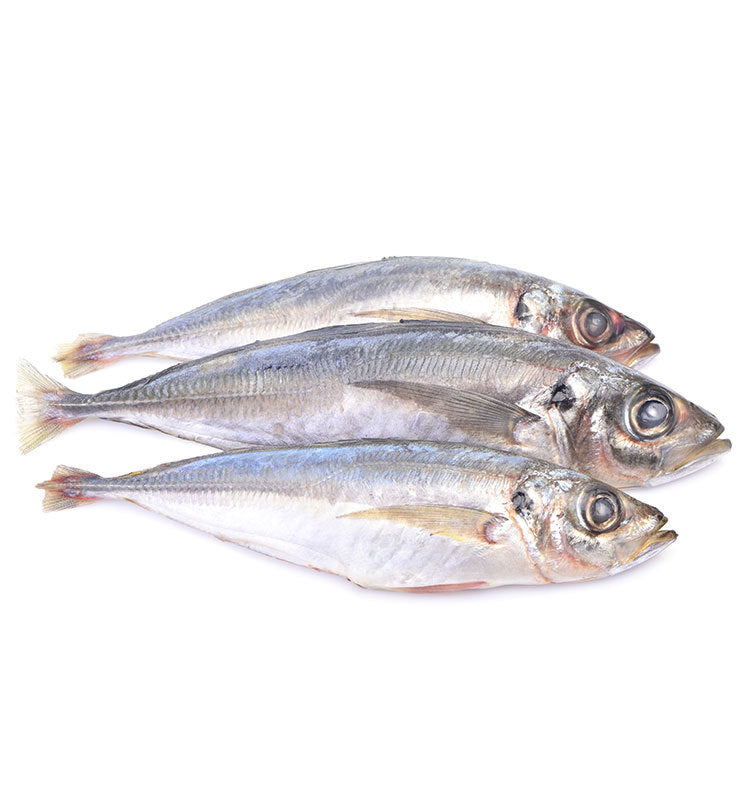 Horse Mackerel (Cut) 1kg