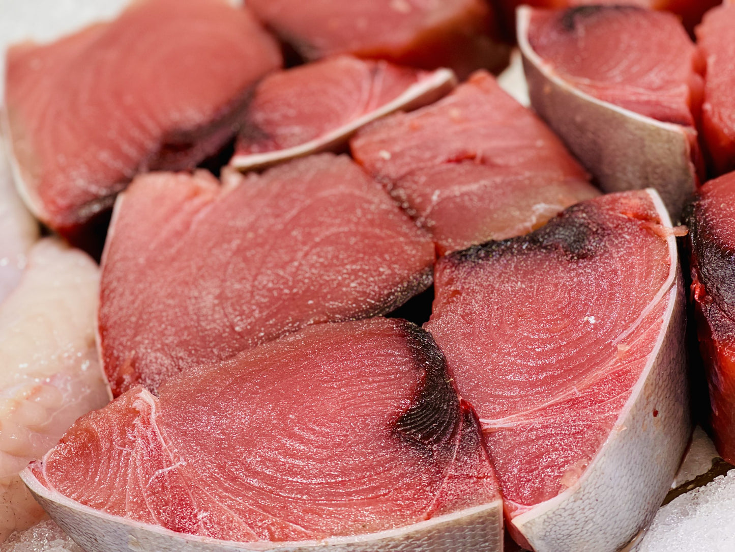 Tuna 1kg