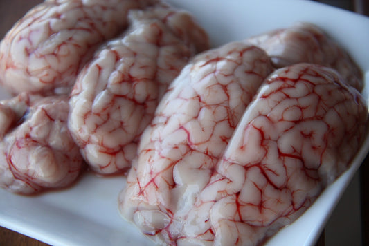 Cow Brain