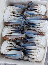 Frozen Half Cut Blue Swimming Crab 1kg