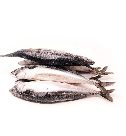 Mackerel Fish (4 pcs)