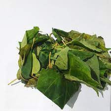 Fresh Utazi Leaves (3 Brunch)