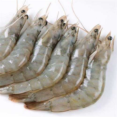 Prime Grey Raw Head-on Shrimp 2kg